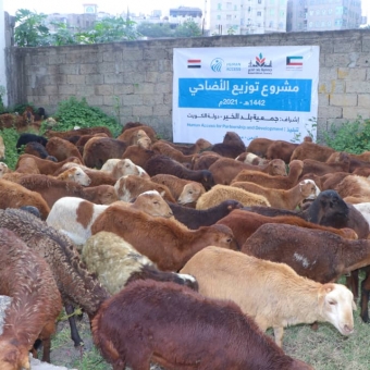 بتمويل من جمعية بلد الخير.. أكثر من الفين شخص استفادوا من مشروع توزيع لحوم الأضاحي 