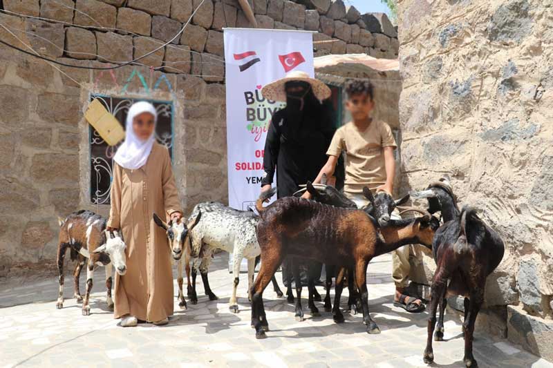 رعاية ايتام اليمن