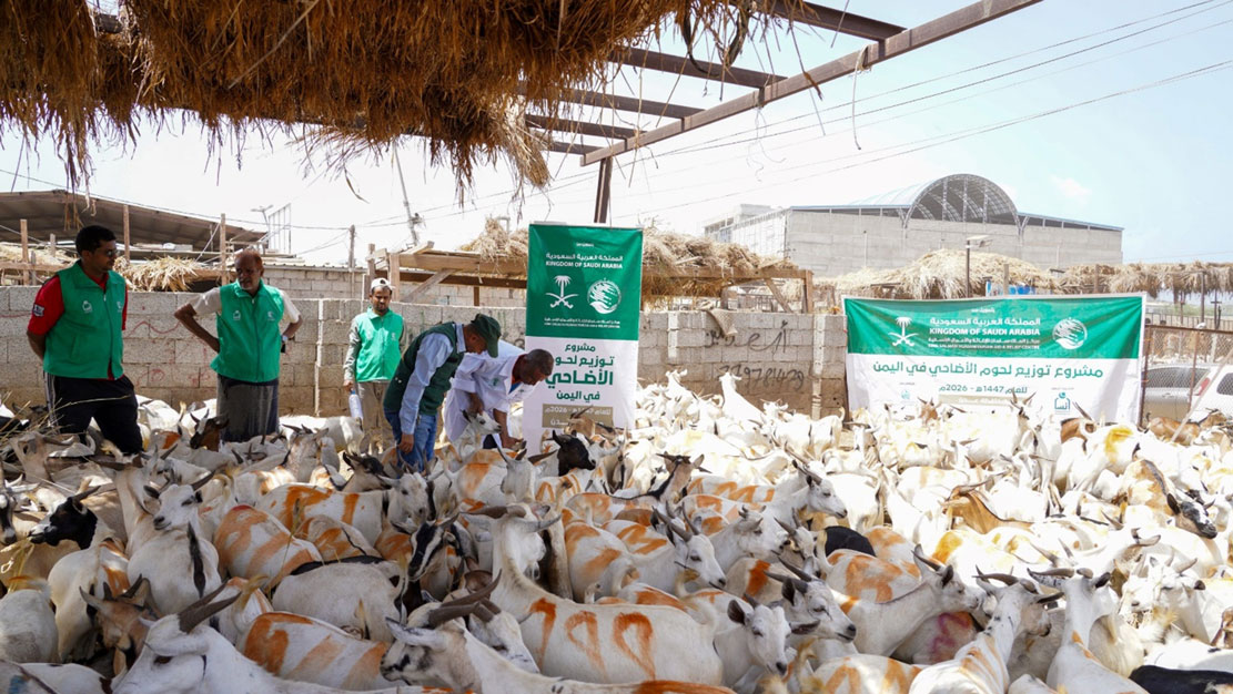 فريق مركز الملك سلمان للإغاثة يطلع على جاهزية مشروع لحوم الأضاحي 1447 بعدن