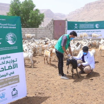 بتمويل من مركز الملك سلمان للإغاثة.. استعدادات مكثفة لتنفيذ مشروع توزيع لحوم الأضاحي في حضرموت