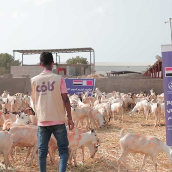 Nearly 3,600 people benefit from sacrificial meat distribution project donated by Kaaf Humanitarian 