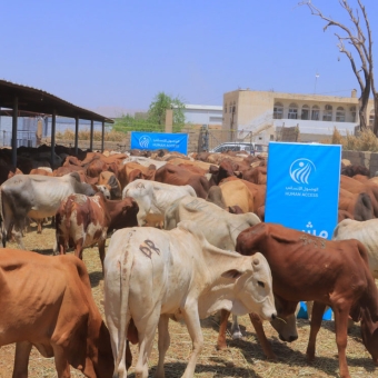 Human Access makes extensive preparations to distribute sacrificial meat