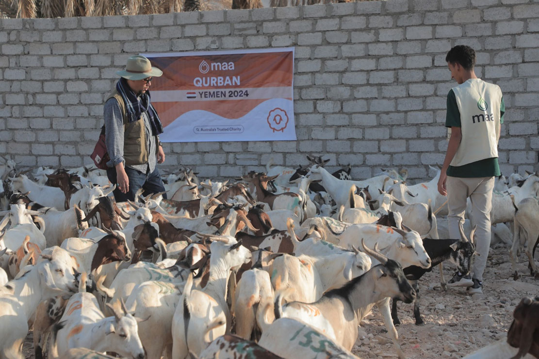 Delivery of toys and meat for over 24 thousand people in Hadhramaut