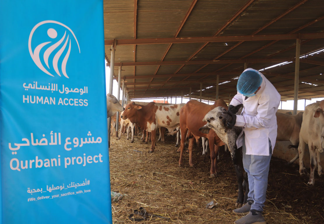 HUMAN ACCESS is making all necessary arrangements to implement its 1447 AH Udhiyah Project
