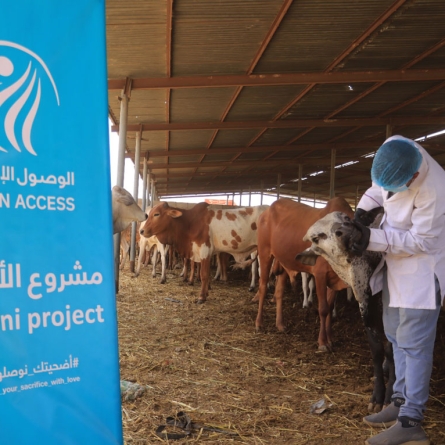 HUMAN ACCESS is making all necessary arrangements to implement its 1447 AH Udhiyah Project