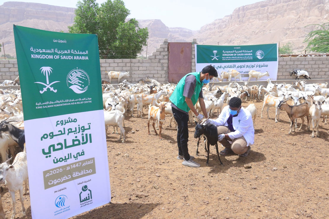 Funded by KSrelief Center, intensive preparations to implement the Udhiyah meat distribution project in Hadhramaut 