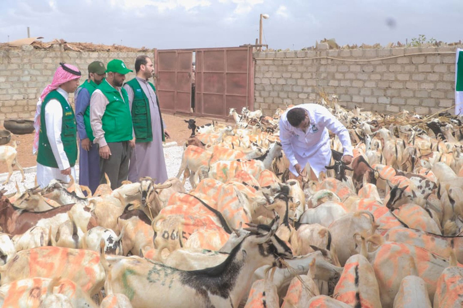 KSrelief Center and HUMAN ACCESS discuss arrangements for implementing the 1447 AH Udhiyah Project in Al-Mahra Governorate