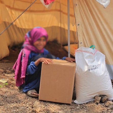 Emergency Food Aid for 167 Displaced Families in Taiz